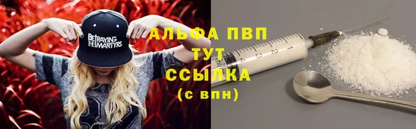 твердый Няндома