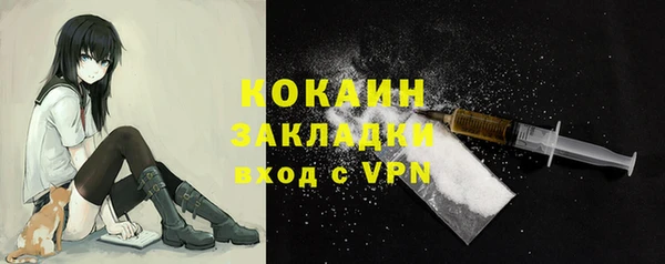 apvp Новозыбков