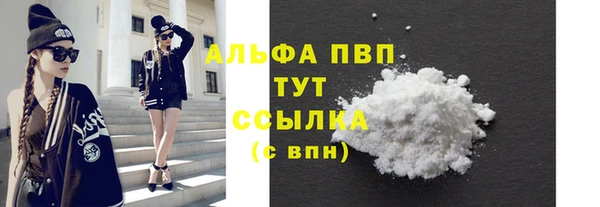 apvp Новозыбков