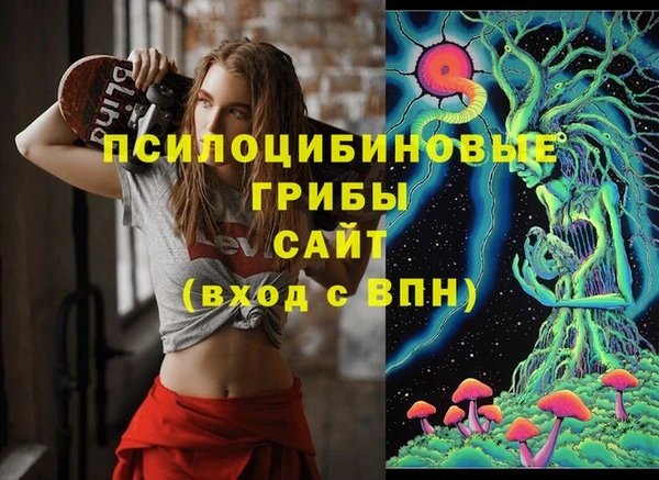 гидра Нягань