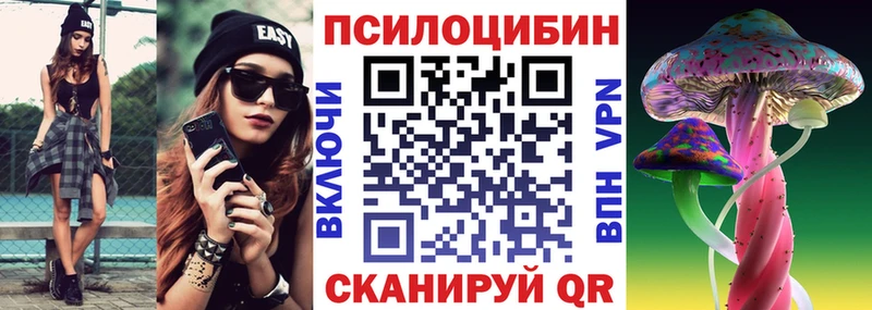 закладки  Электрогорск  Галлюциногенные грибы прущие грибы 
