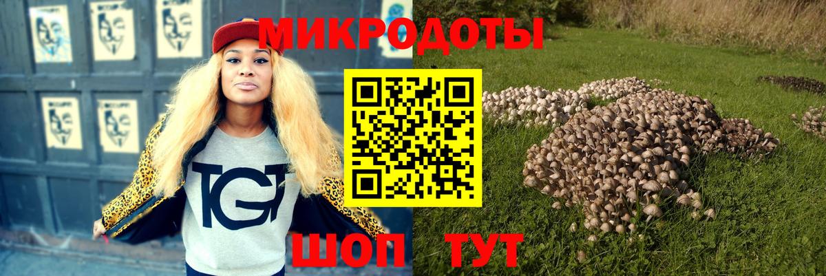 Галлюциногенные грибы Psilocybine cubensis Электрогорск