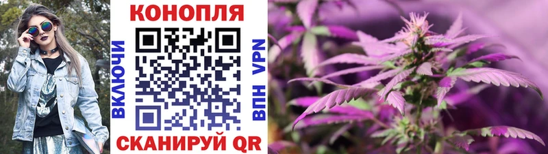 Конопля марихуана  магазин    Электрогорск 